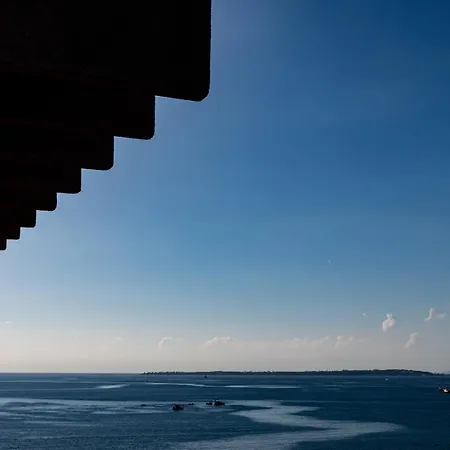 Sweett - Maison Blanche *